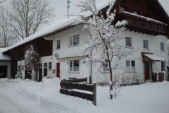 Winter am Hof