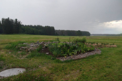 Der Garten an der Kläranlage wäschst und gedeiht