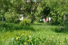 Blick von der Straße