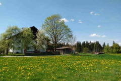 Frühlingswiese vor dem Haus